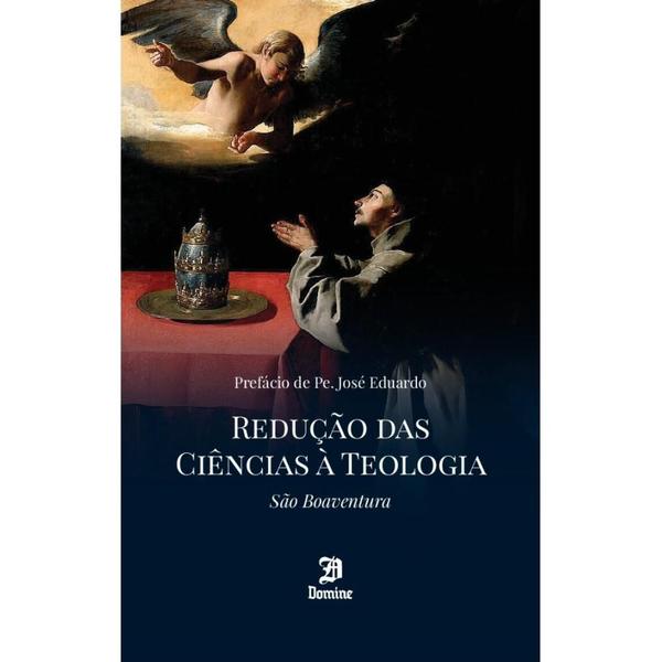 Imagem de Redução das ciências à teologia - DOMINE EDITORA