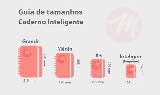 Imagem de Refil Caderno Inteligente A5 Pautada 120g CIRA2005 UN PM