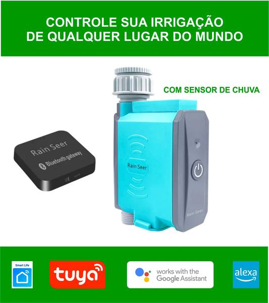 Imagem de Registro Temporizador de irrigação Wifi Inteligente