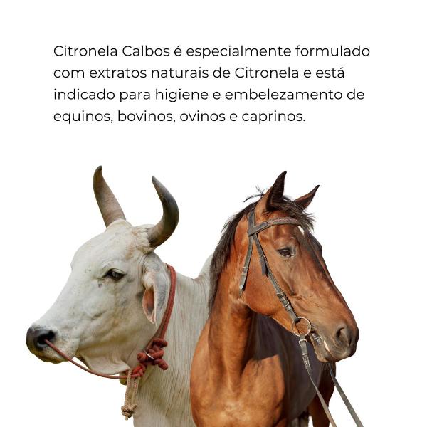 Imagem de Repelente Citronela 15% Veterinário Spray 500ml Calbos