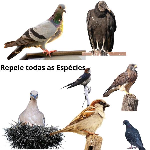 Imagem de Repelente  Espanta Rato E Morcego  Maritacas Passarinhos REM3002 600 GR 