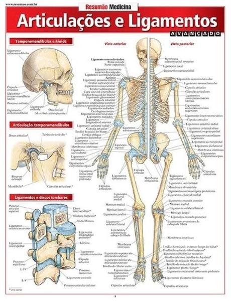 Imagem de Resumão Medicina - Articulacoes e Ligamentos - Avançado