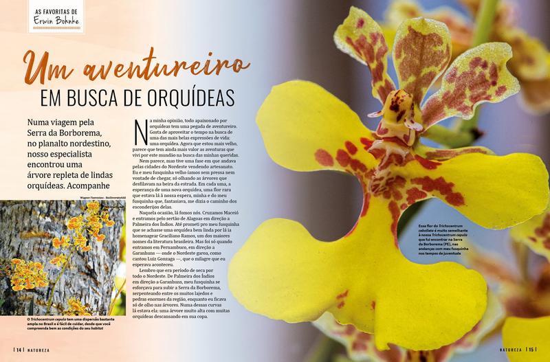 Imagem de Revista natureza 423