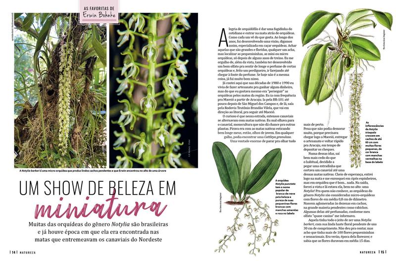 Imagem de Revista Natureza 424