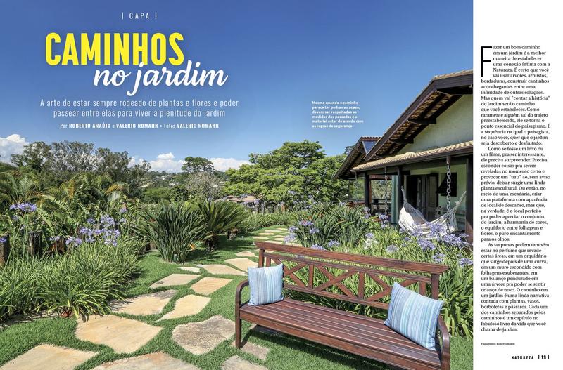 Imagem de Revista Natureza 425