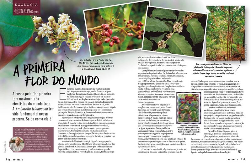 Imagem de Revista Natureza 439