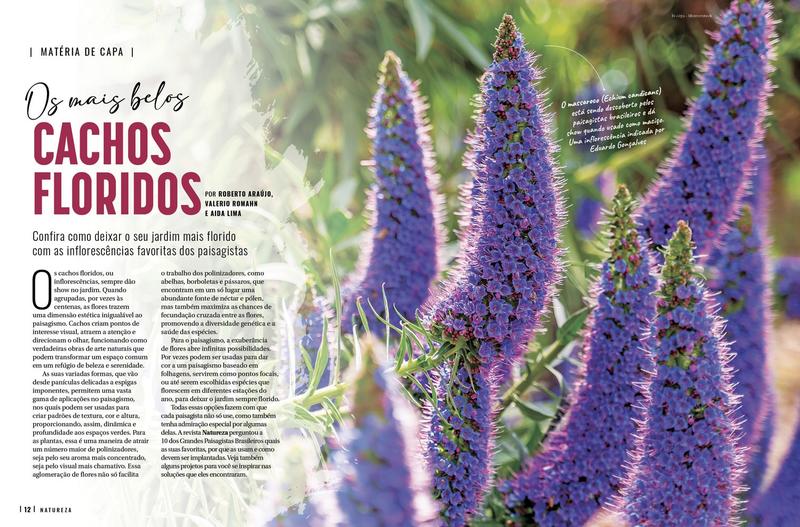 Revista Natureza - Edição 435 - Editora Europa Imagem de Revista Natureza - Edição 435