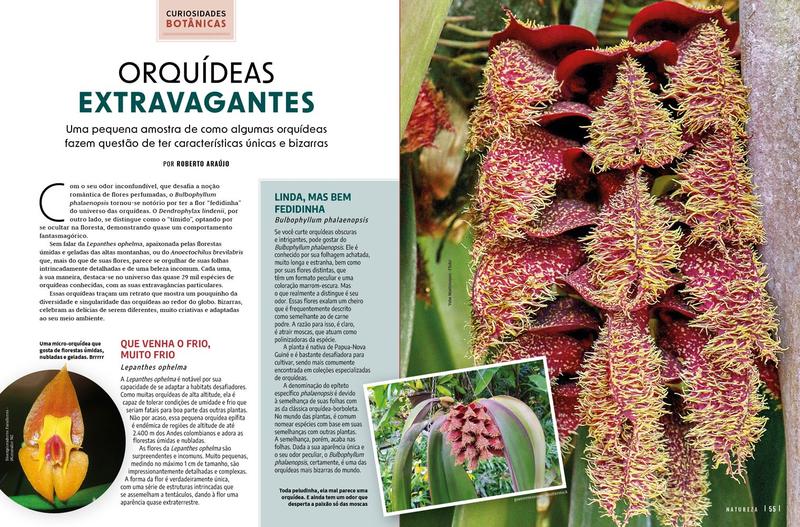 Revista Natureza - Edição 435 - Editora Europa Imagem de Revista Natureza - Edição 435