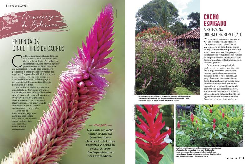 Revista Natureza - Edição 435 - Editora Europa Imagem de Revista Natureza - Edição 435