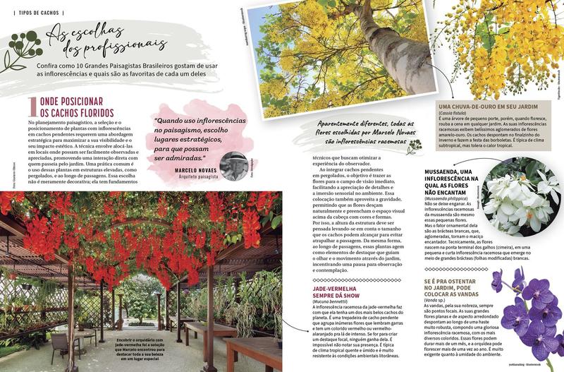 Revista Natureza - Edição 435 - Editora Europa Imagem de Revista Natureza - Edição 435