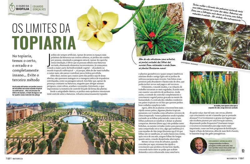 Revista Natureza - Edição 435 - Editora Europa Imagem de Revista Natureza - Edição 435
