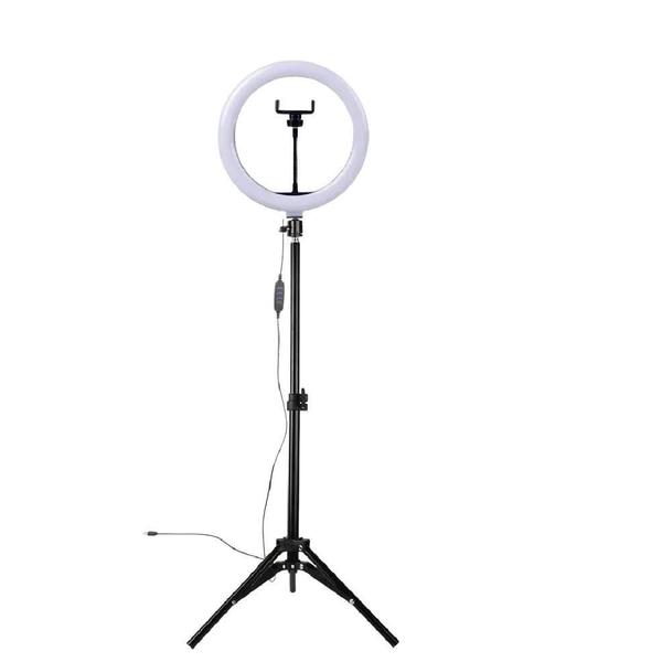 Imagem de Ring Light 10 Polegadas Iluminador Portátil 26Cm + Tripé 2M