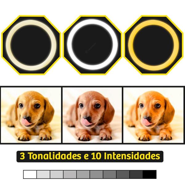 Ring Light Iluminador 12 Polegadas 3 Tonalidades De Branco - Ring Fill Imagem de Ring Light Iluminador 12 Polegadas 3 Tonalidades De Branco