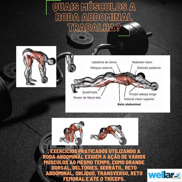 Imagem de Roda Aparelho Abdominal Lombar Academia Exercícios-RedStar