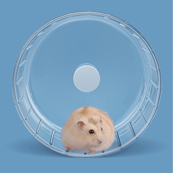Roda de exercício para hamster BUCATSTATE Super-Silent 14cm Imagem de Roda de exercício para hamster BUCATSTATE Super-Silent 14cm