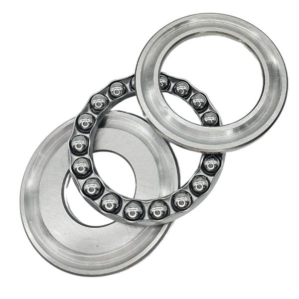 Rolamento Axial de Esferas Compatível com Lavajato WAP Garra - Parceiro das Peças Imagem de Rolamento Axial de Esferas Compatível com Lavajato WAP Garra