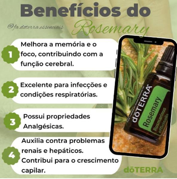 Imagem de Rosemary - Alecrim doTerra