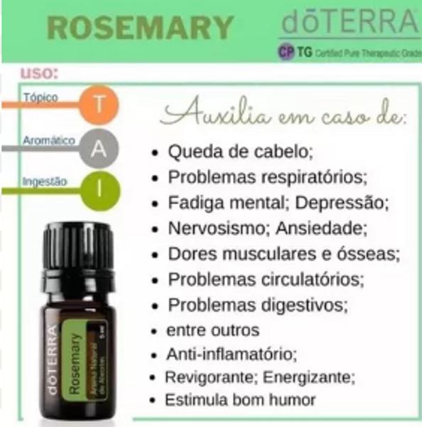 Imagem de Rosemary - Alecrim doTerra