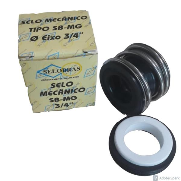 Imagem de Rotor Bomba Piscina Dancor 804 1/3cv + Selo Mecânico 3/4