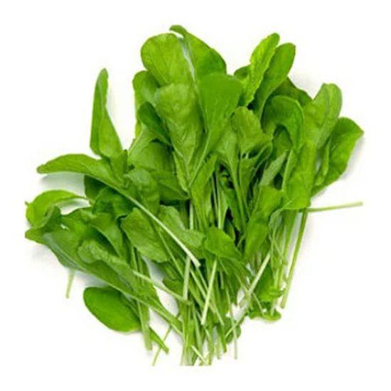 Rúcula - Caixa com 15 unidades - PLANTADELIVERY Imagem de Rúcula - Caixa com 15 unidades