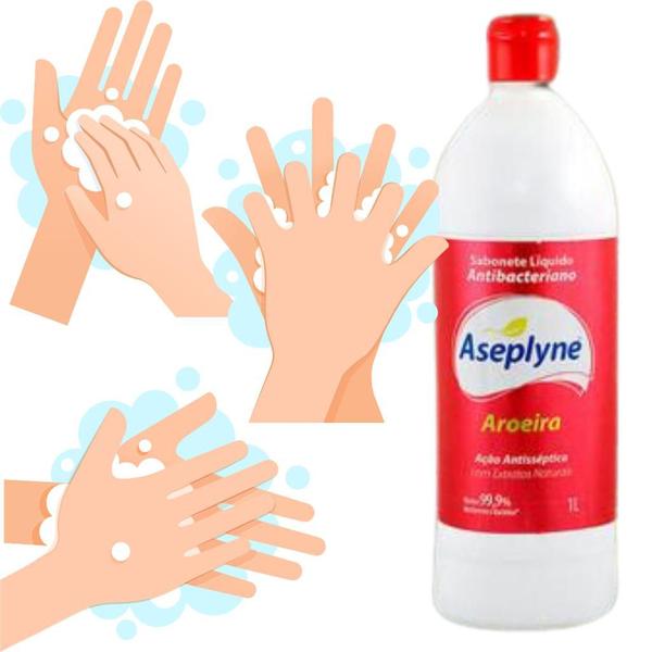 Imagem de Sabonete Líquido Antibacteriano Aseplyne Proteção Natural Ação Antisséptica e Antifúngica 1000ml - 1 Litro Alyne