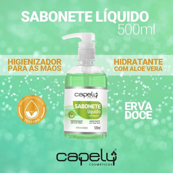 Imagem de Sabonete Liquido Antisseptico 500 ml - Erva Doce