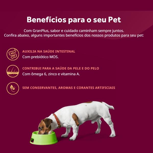 Imagem de Sachê Ração Úmida para Cão Adulto Gourmet Gran Plus Ovelha 100g