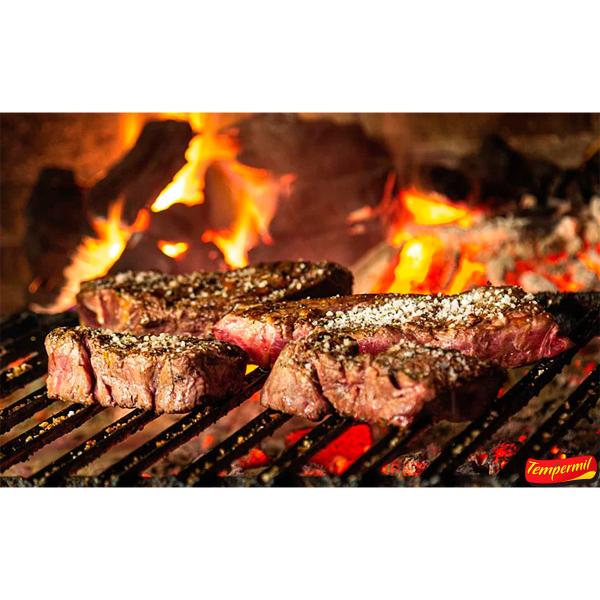 Imagem de Sal de Parrilla Churrasco Diversos Pratos Frasco 300g Tradicional Sabor Especial Tempermil