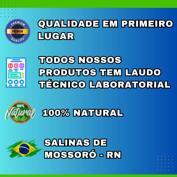 Imagem de Sal Marinho Integral Fino Iodado 1kg Salinas de Mossoro