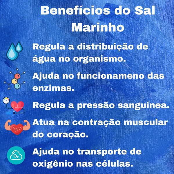 Imagem de Sal Marinho Integral Sem Iodo 3kg Mossoro (Moído) Mossoro