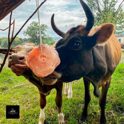 Imagem de Sal Rosa Do Himalaia Equinos, Bovinos E Caprinos 1 Bloco