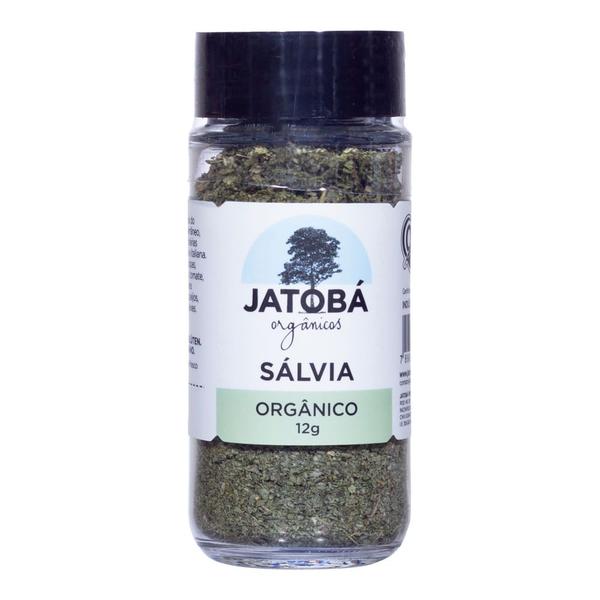 Sálvia Orgânico Jatobá 12g Imagem de Sálvia Orgânico Jatobá 12g