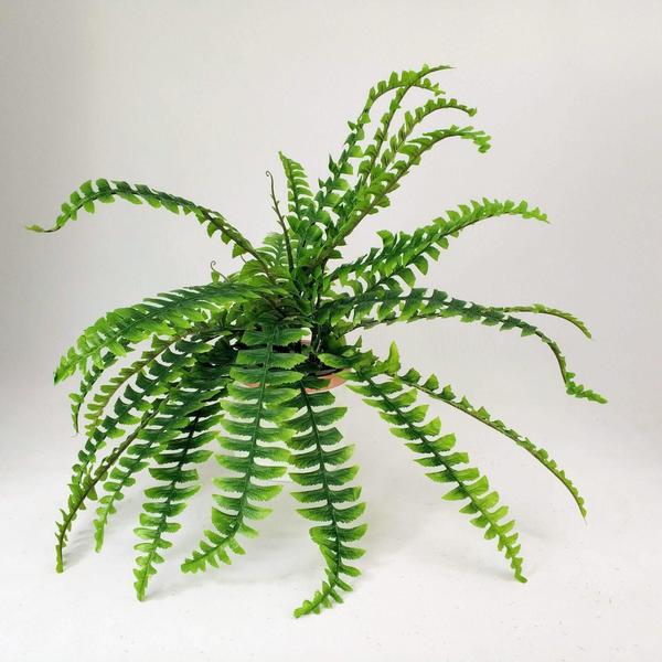 Imagem de Samambaia Folhagem Planta Artificial 50Cm Decorativo