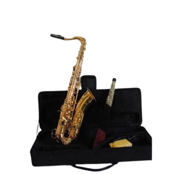 Imagem de Sax Alto Dreamer Em Eb Niquelado Ft6430L