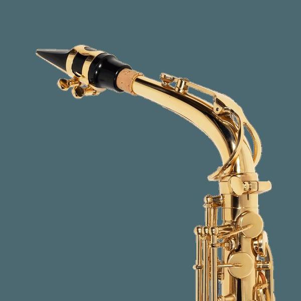 Imagem de Sax Alto Michael Wasm30N Laqueado Dourado