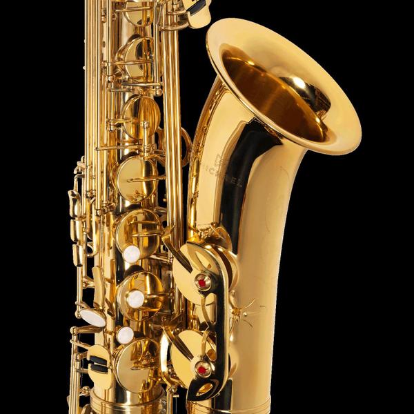 Imagem de Sax tenor michael wtsm30n