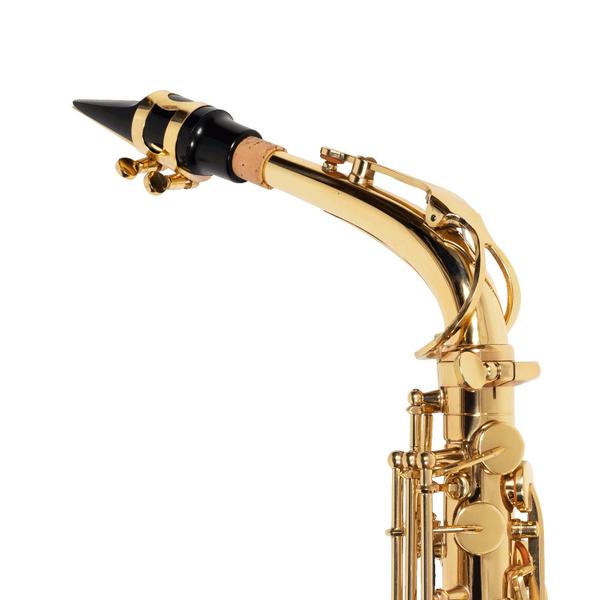 Imagem de Saxofone sax alto michael wasm30n