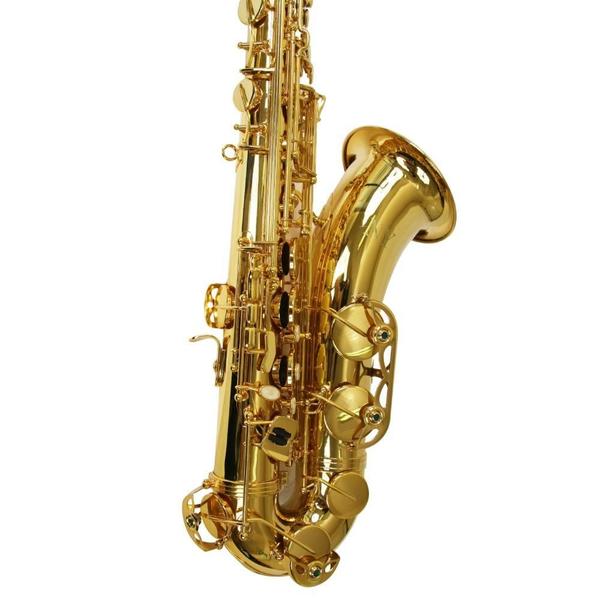 Imagem de Saxofone Tenor Ny Bb Laqueado Ts200