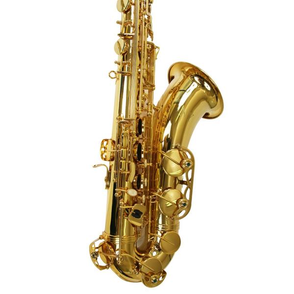 Imagem de Saxofone Tenor Ts 200 Laqueado Dourado Com Case New York