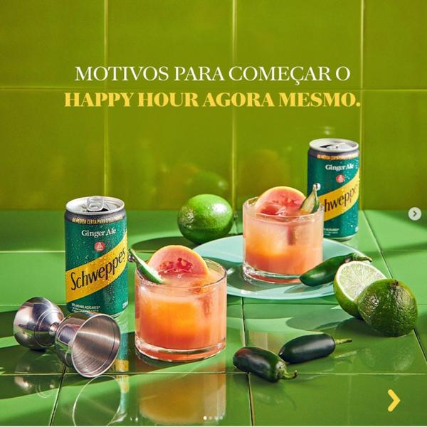 Imagem de Schweppes Ginger Ale Lata 220ml (6 latas)