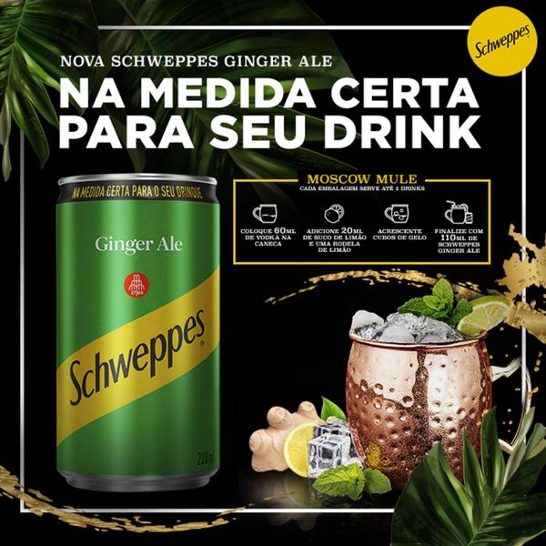 Imagem de Schweppes Ginger Ale Lata 220Ml (6 Latas)