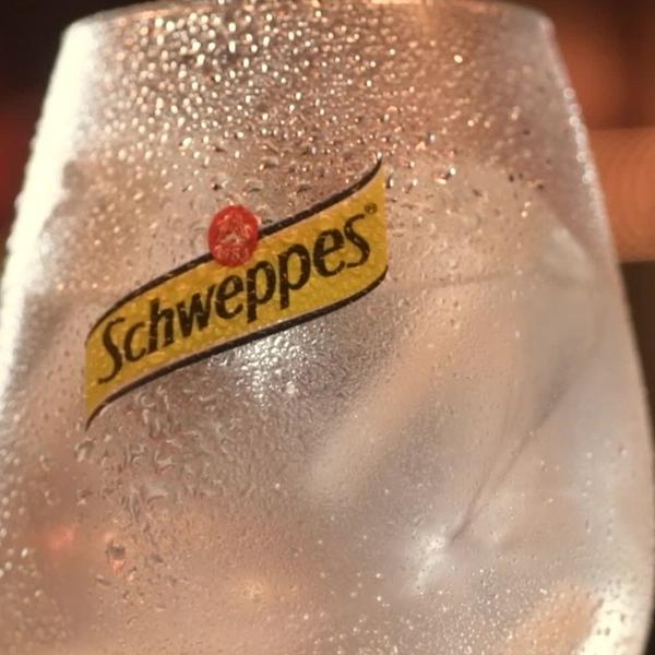 Imagem de SCHWEPPES Tônica Sem Açúcar 220ml (12 latas)