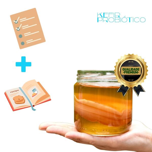 Imagem de Scoby Kombucha Pronta Vidro 250ml + Kefir de Leite + Manual + Livro de Receitas Tudo Kombucha