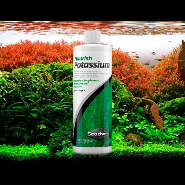 Imagem de Seachem Flourish Potassium 500ml Fertilizante Potássio Aquário Plantado