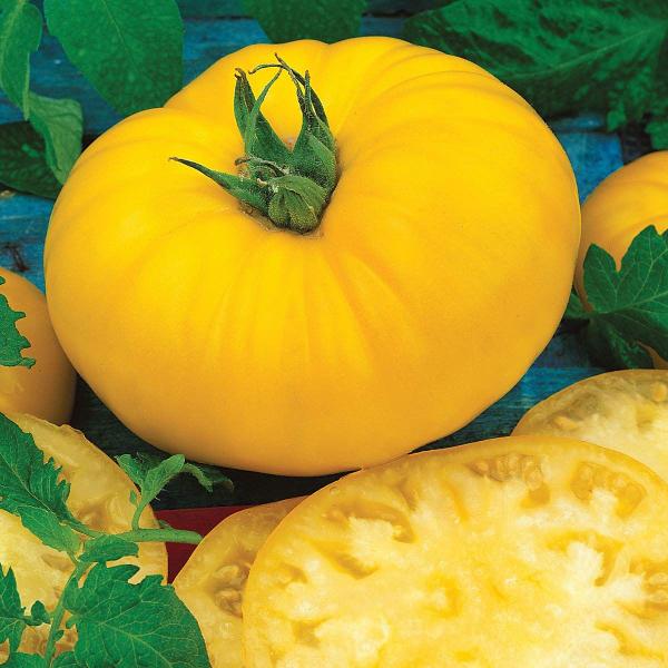 Imagem de Seeds Burpee 'Sunny Boy' Hybrid Yellow Beefsteak Tomato