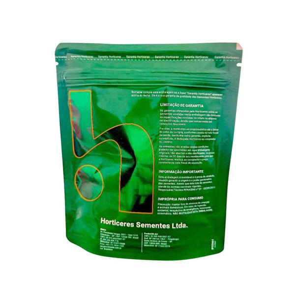 Semente Abóbora Goianinha 100g Horticeres Produtiva 80 À 120 Dias