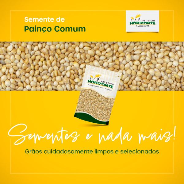 Semente Painço Puro Natural Limpo 5kg Pacote Econômico Criador Pássaros Periquito Agapornis Canário - Horizonte Imagem de Semente Painço Puro Natural Limpo 5kg Pacote Econômico Criador Pássaros Periquito Agapornis Canário
