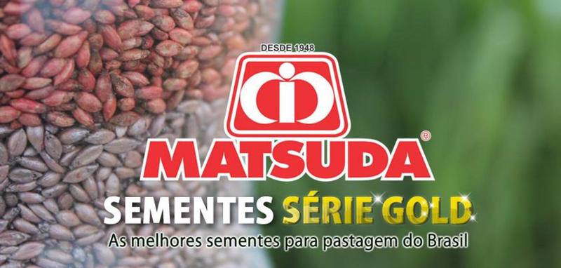 Imagem de Sementes Capim Mg4 Série Gold Matsuda 20kg