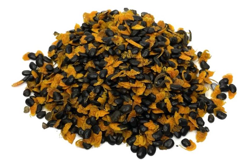 Imagem de Sementes de Acacia Mangium/ Acacia Australiana - 700gr