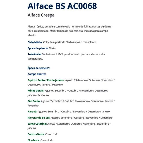 Imagem de Sementes de Alface BS AC0068 Peletizada Frasco C/ 25.000 Sementes